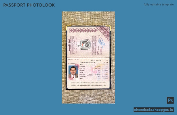 Beispielansicht für ein Passfoto für Palästina